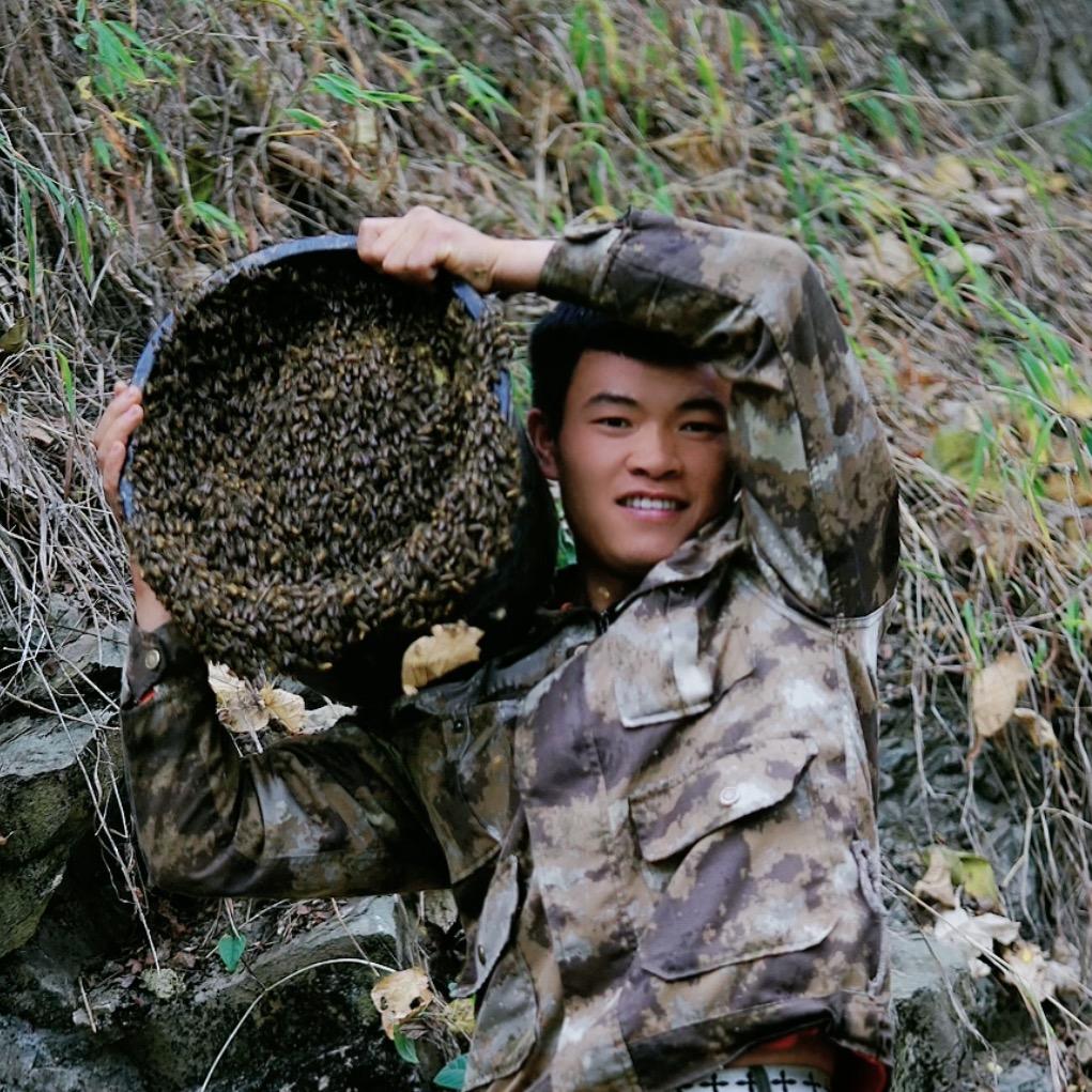 大表哥胡蜂蜜蜂养蜂(免费技术咨询)