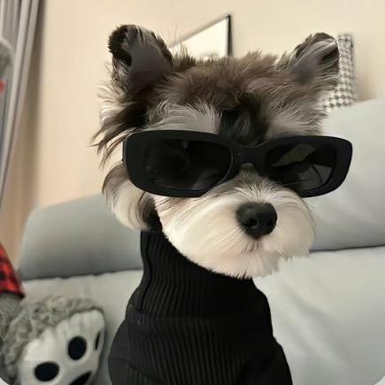 小羊羊驼🦙