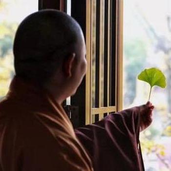 众生自在（结善缘