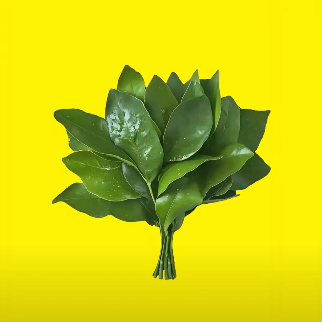 小潼