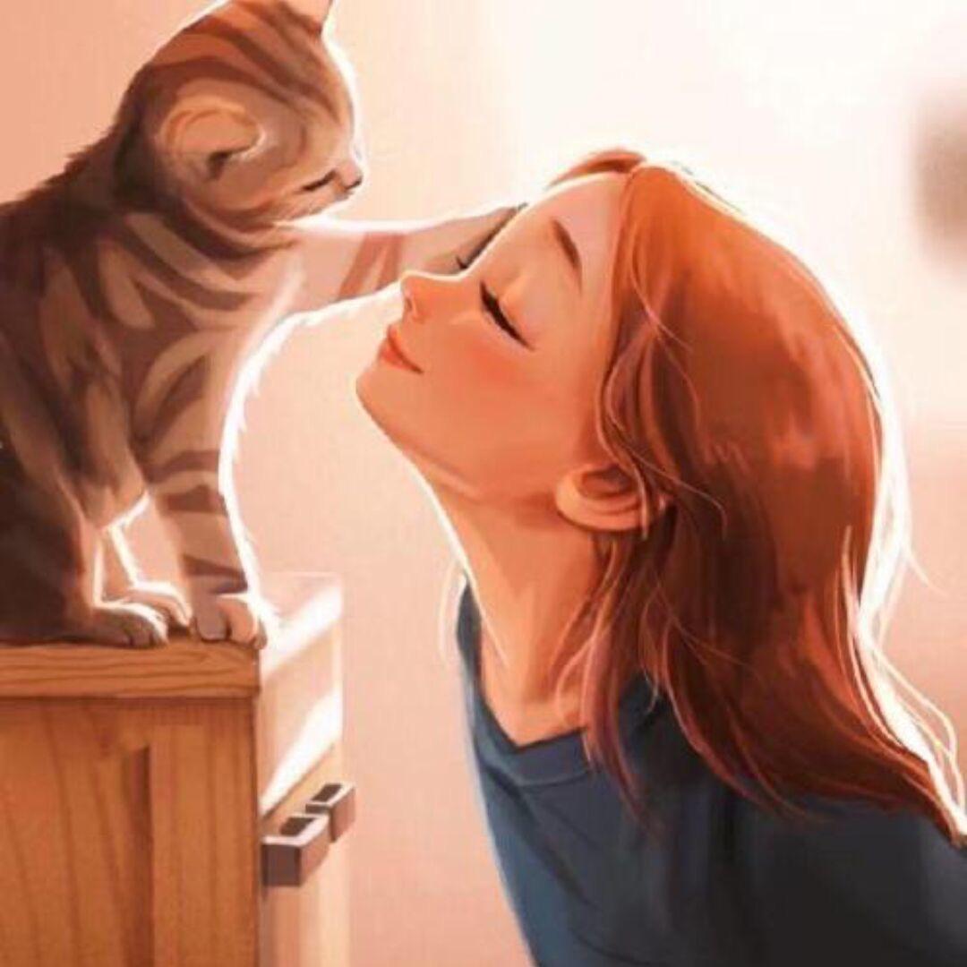 晗晗壳壳