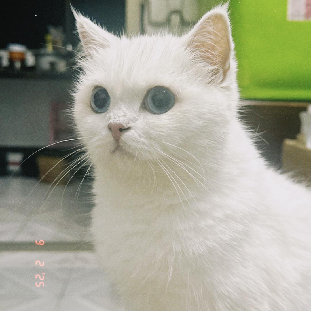 -哇赛-