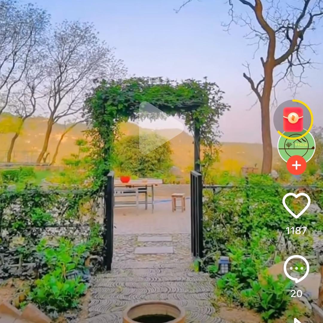玛丽空中花园