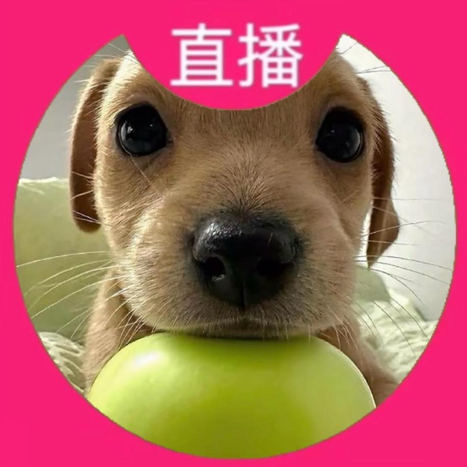 祈尔