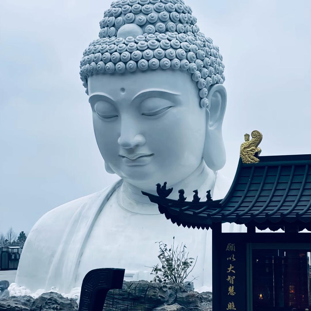 俺庄我最穷