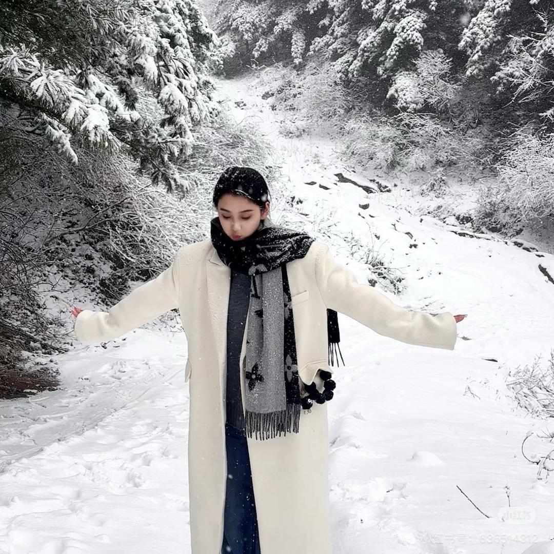 路易奢品2号仓鹭鹭