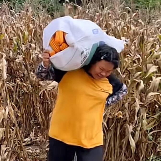 哈尼黑小妹