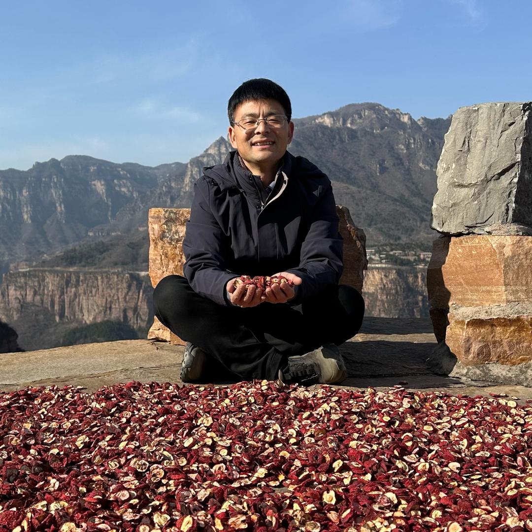 山楂书记杜千里