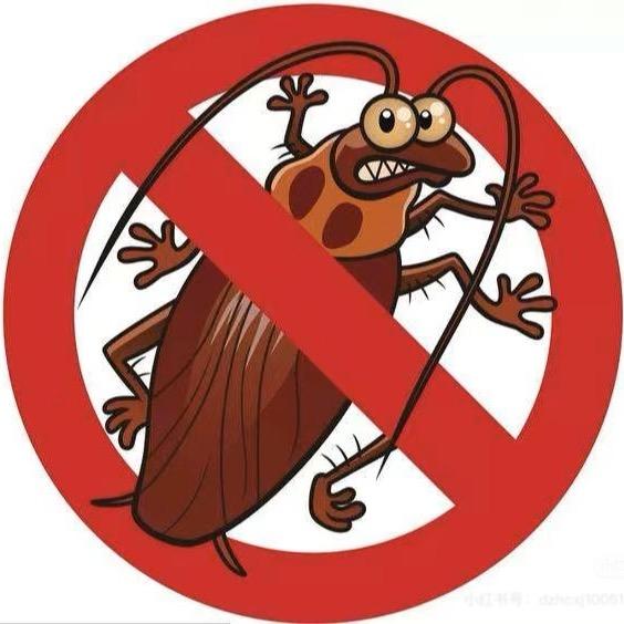 蟑螂蚂蚁药专家-家用无毒