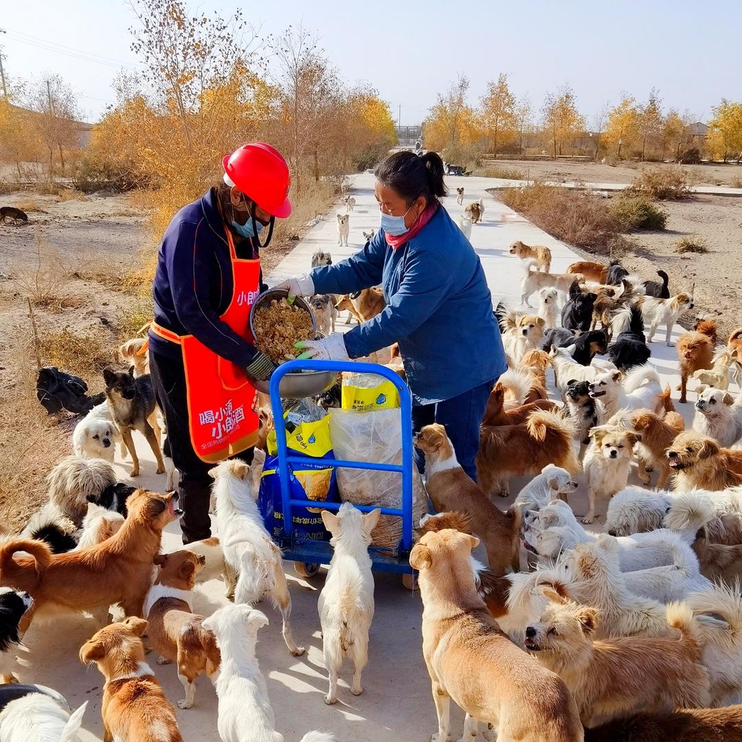 哈密南湖护生园