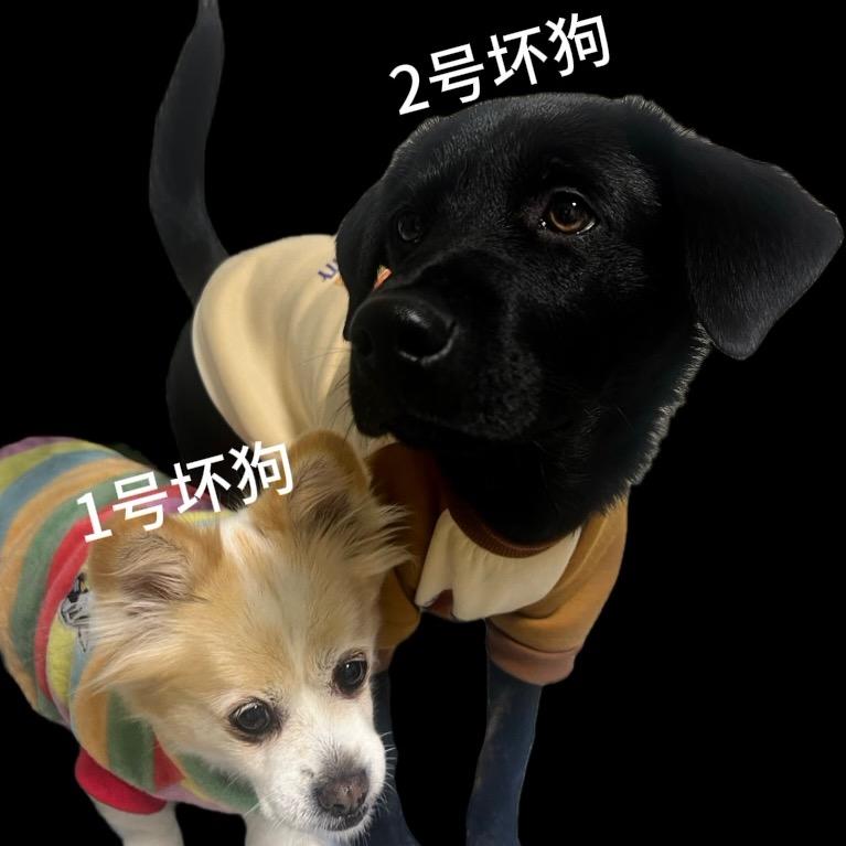 酱油姐姐&芝麻弟弟