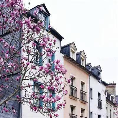 김지연喵喵好物推荐官