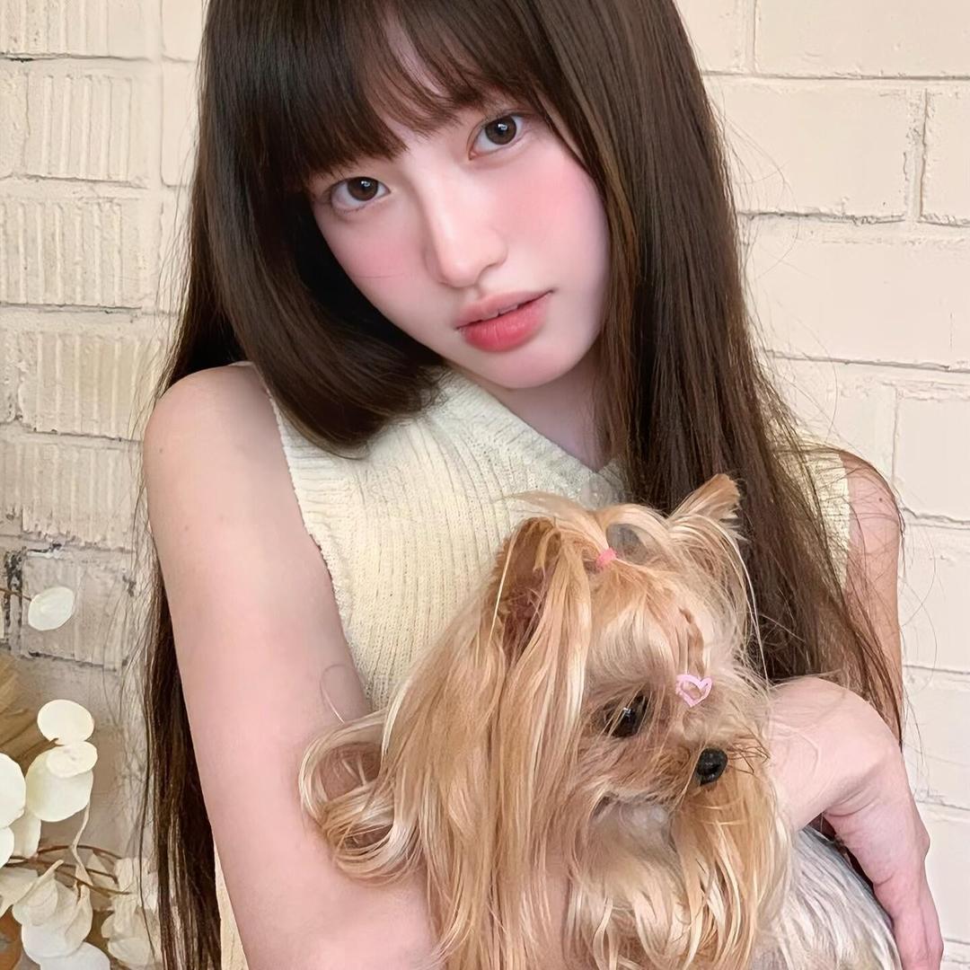 找找赵赵
