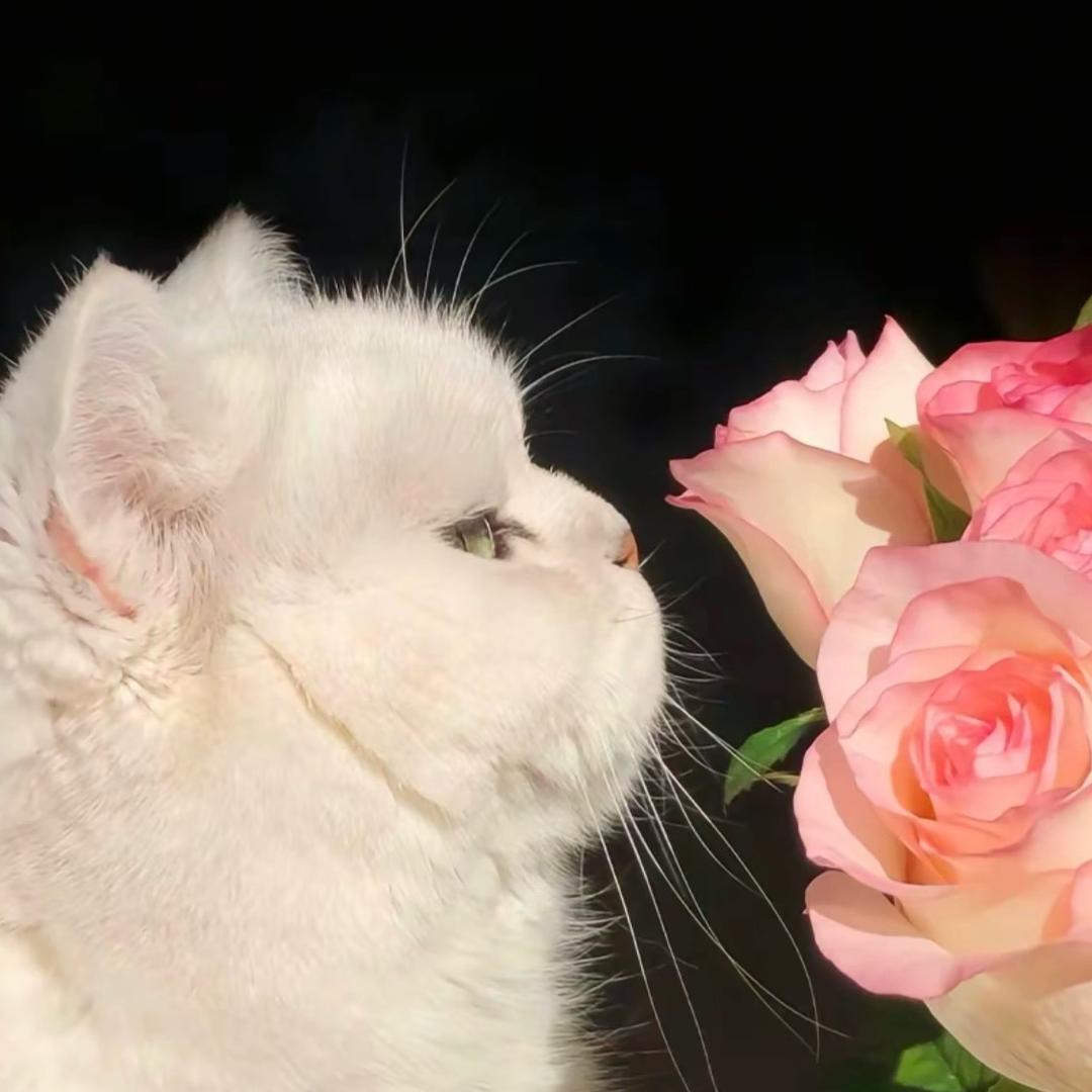 小🌧️转晴💓