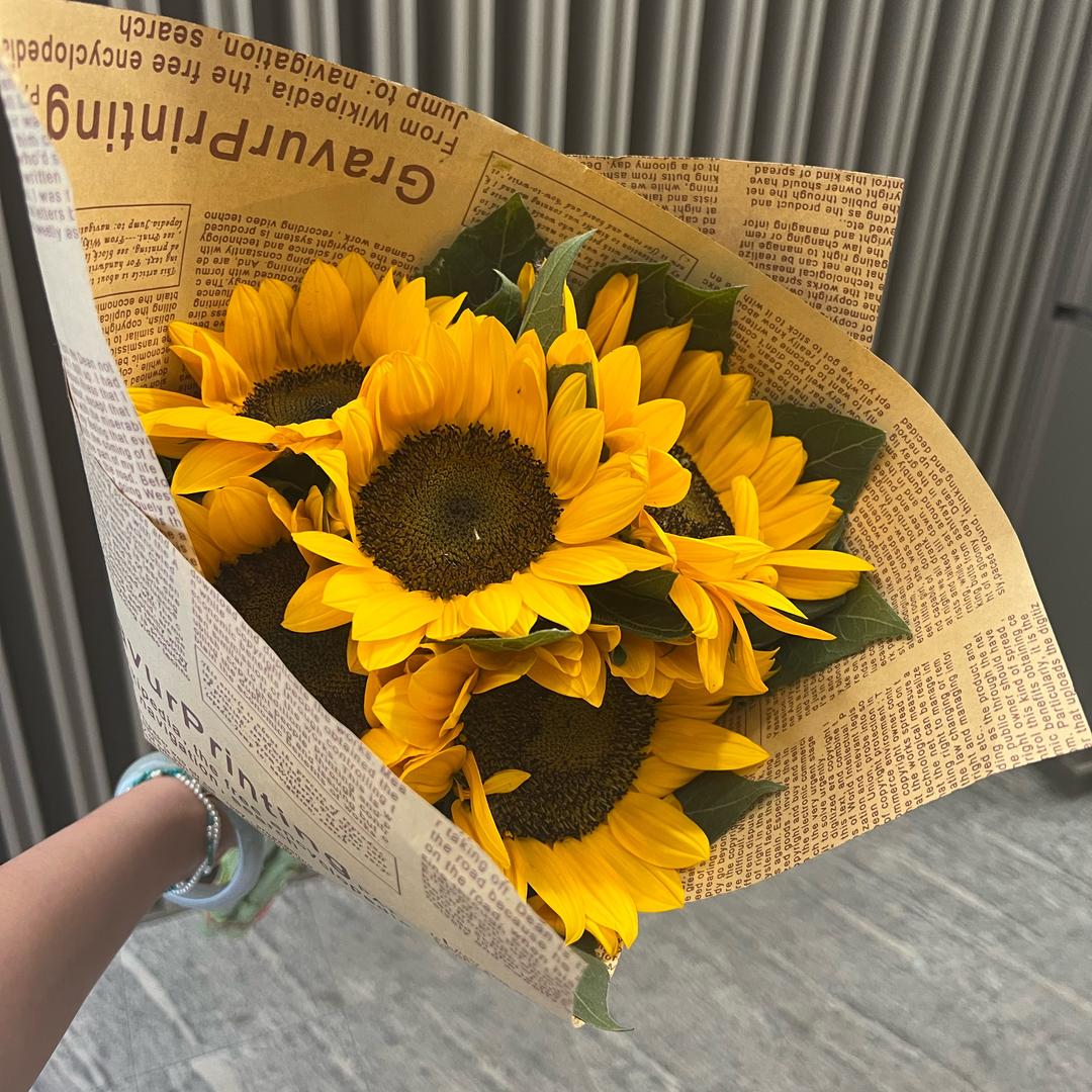 小倩爱小葵🌻