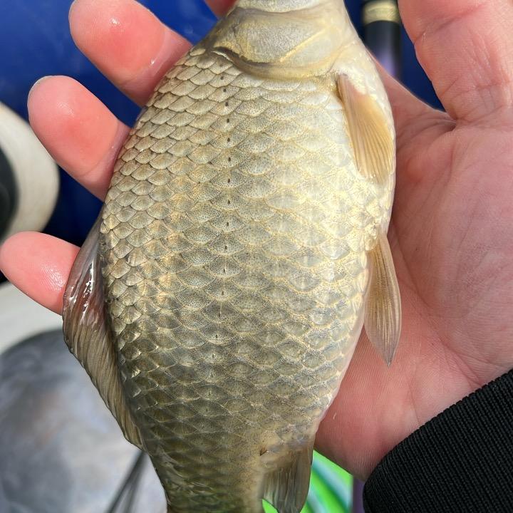 爱钓鱼渔具🎣
