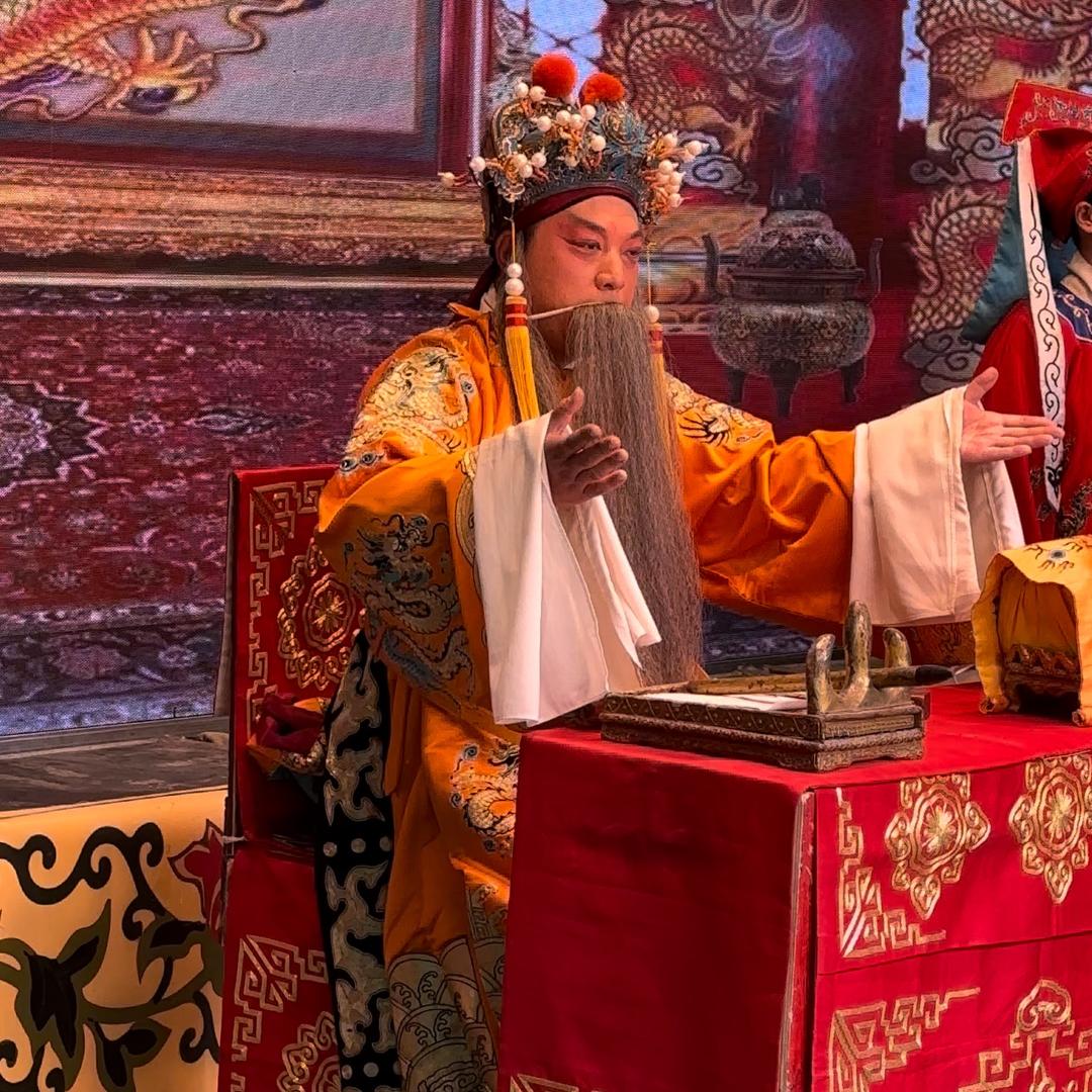 子龙少将