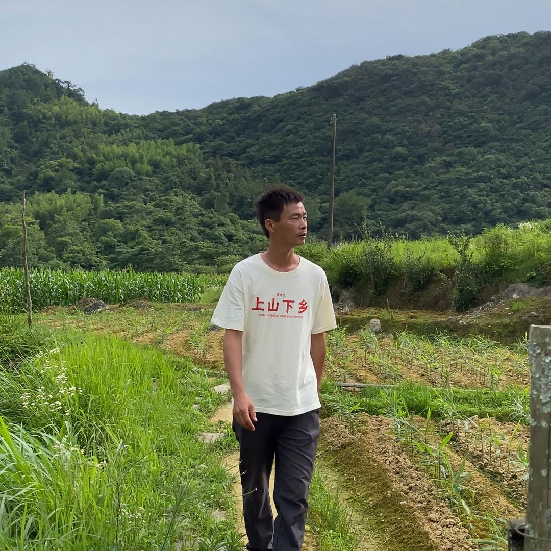 文哥走乡村