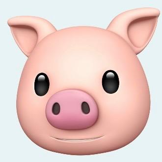 🐽