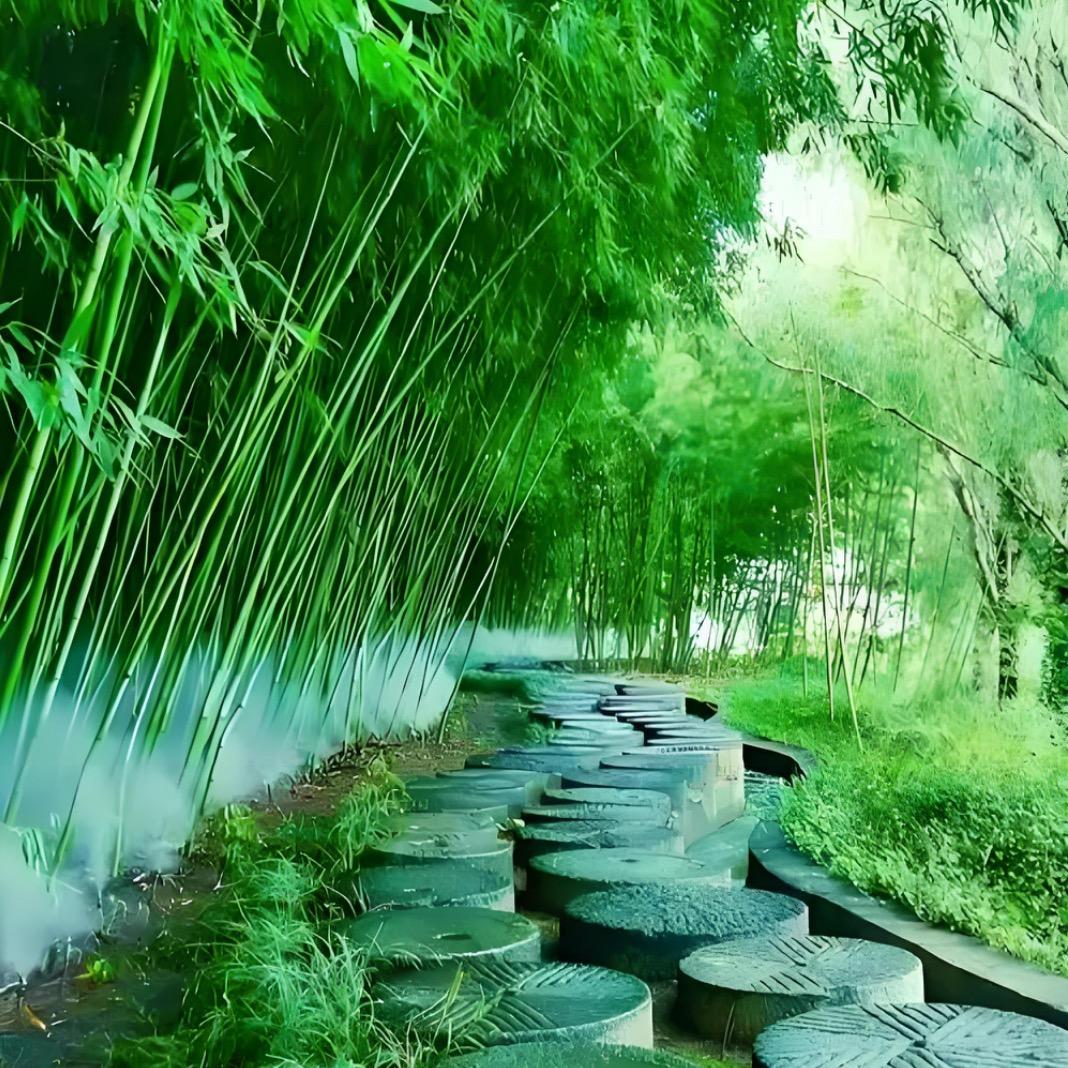 鸣迪面部瑜伽