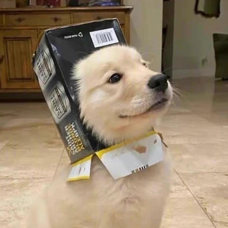 多喝热汽水🥤