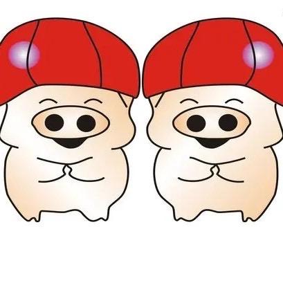 双胞胎微生态饲料厂家直销