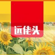 远佬头食品