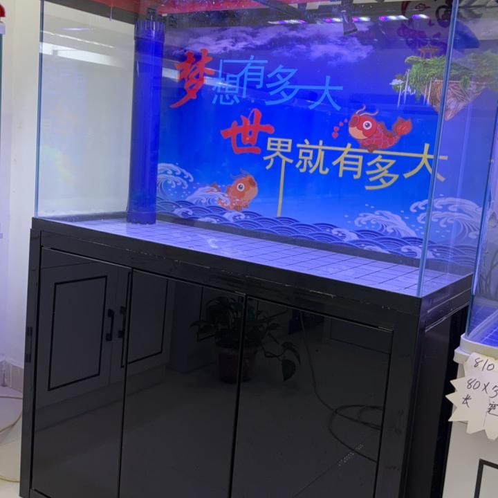 金杰水族馆