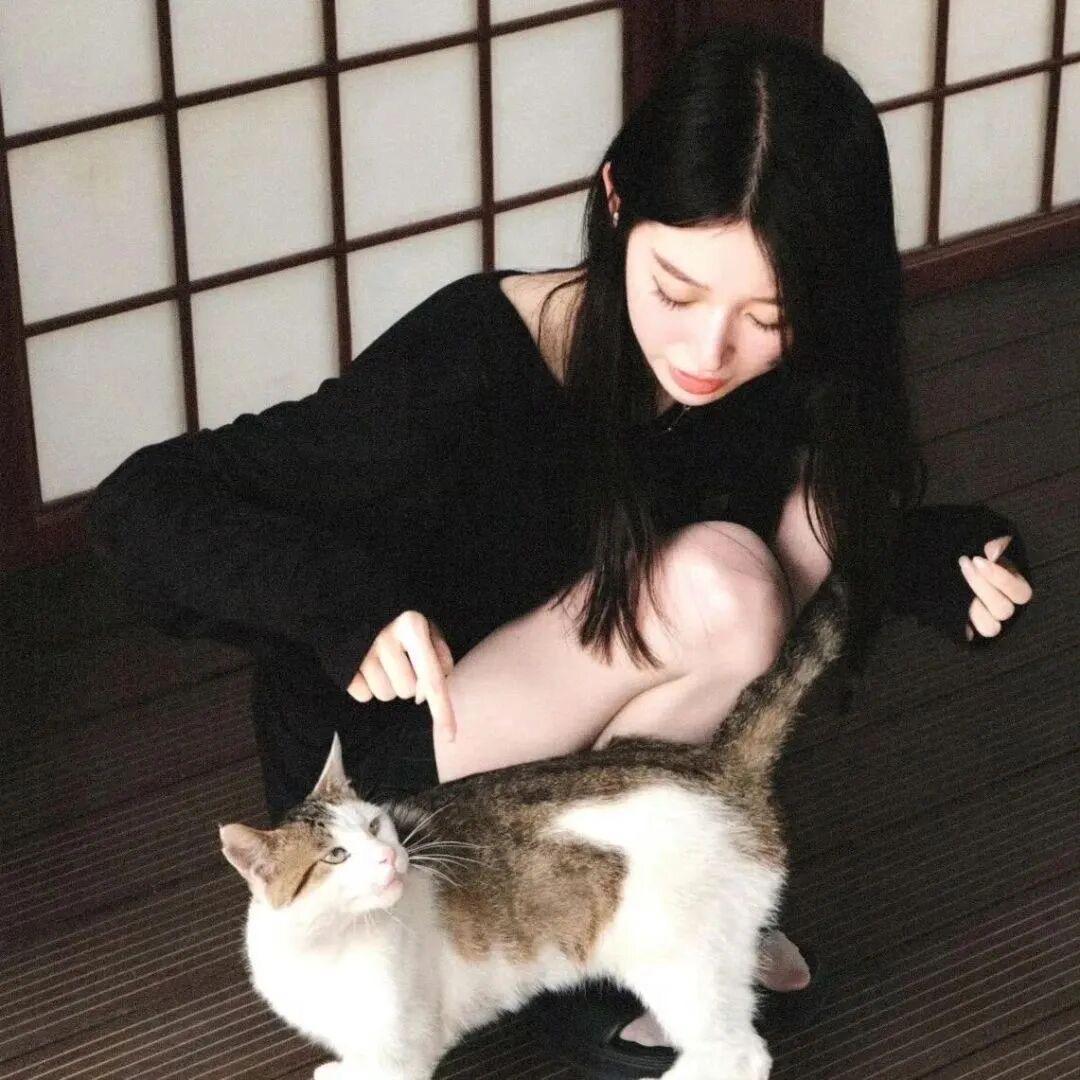 可颂