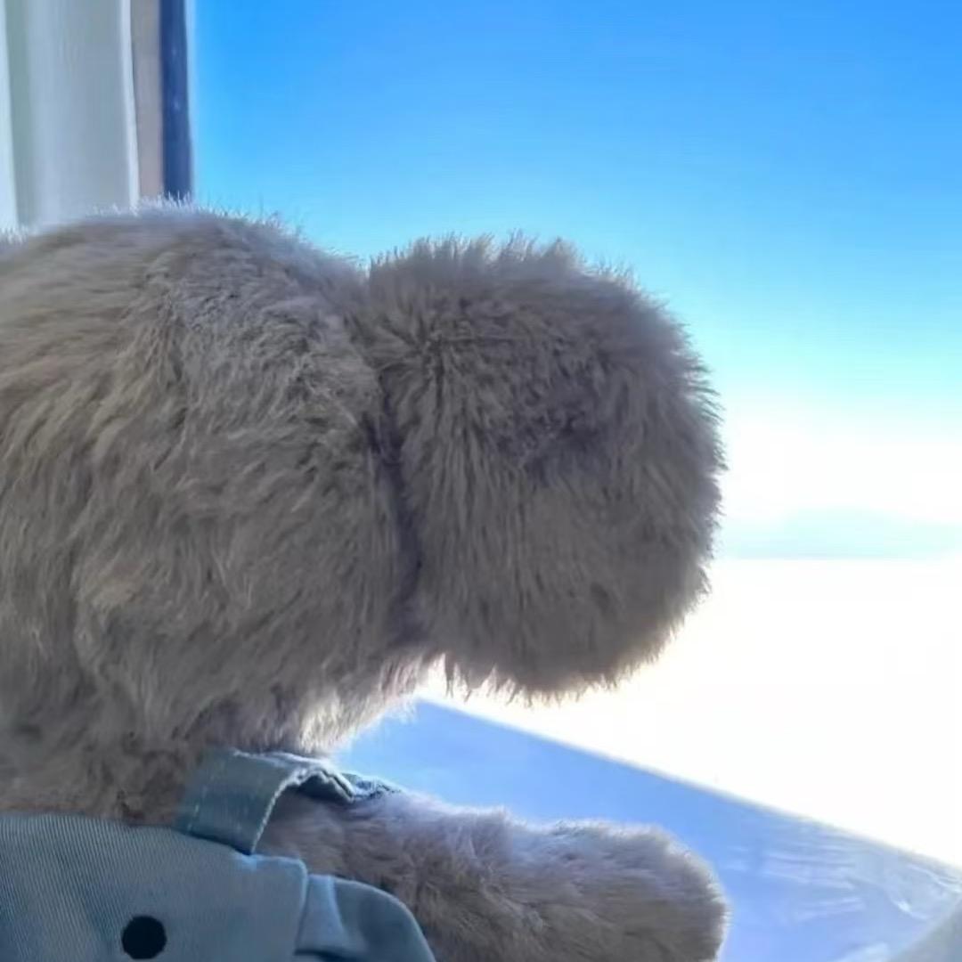 妮妮酱🧚🏻‍♀️