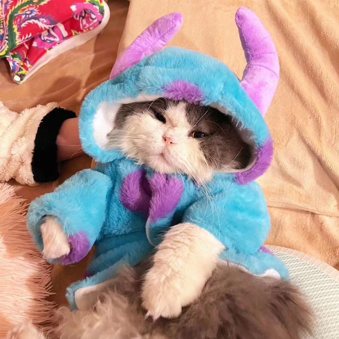 二哈猫