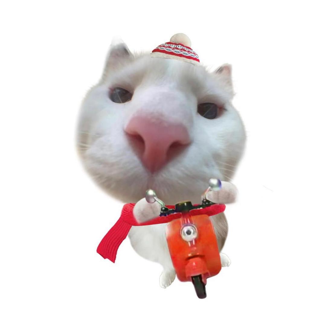 去码头吃薯条吧