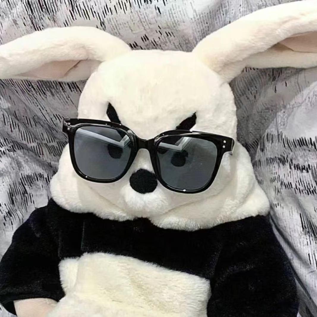 萌萌是只西高地