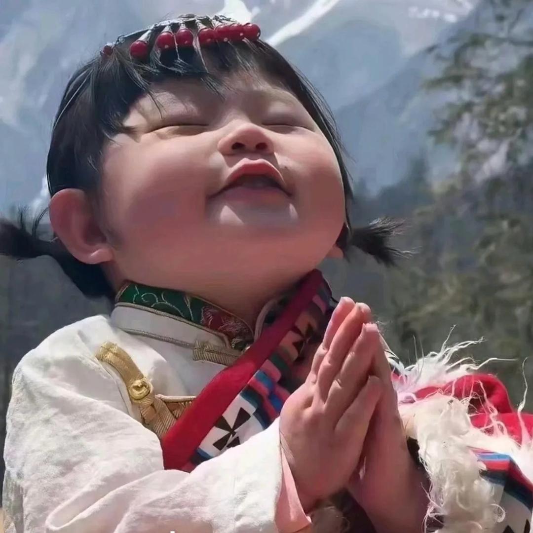 罗密欧与猪过夜