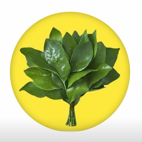 向着太阳🌞迎着光