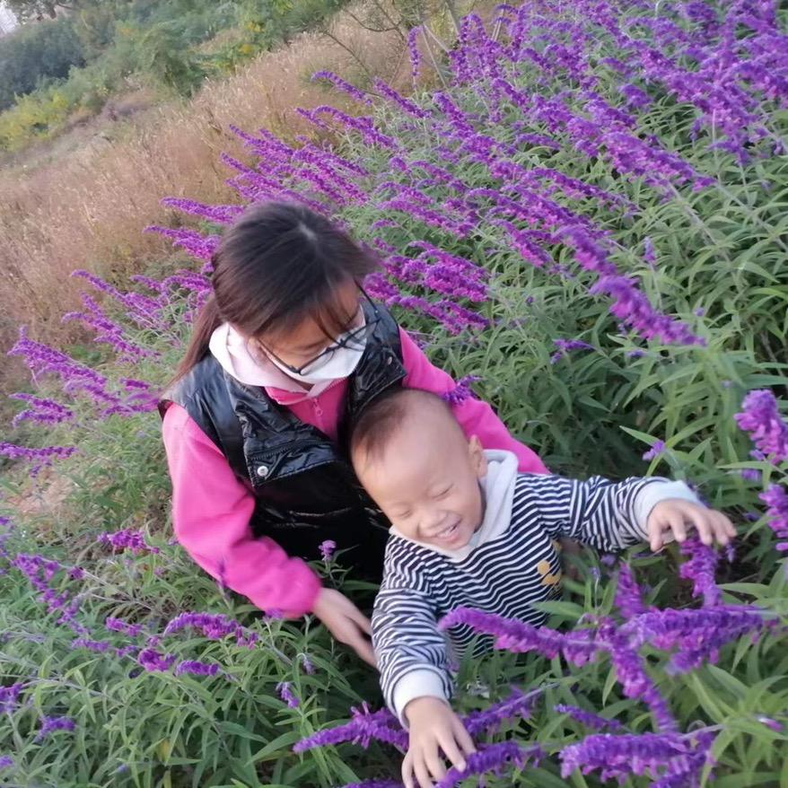 阳光悠悠