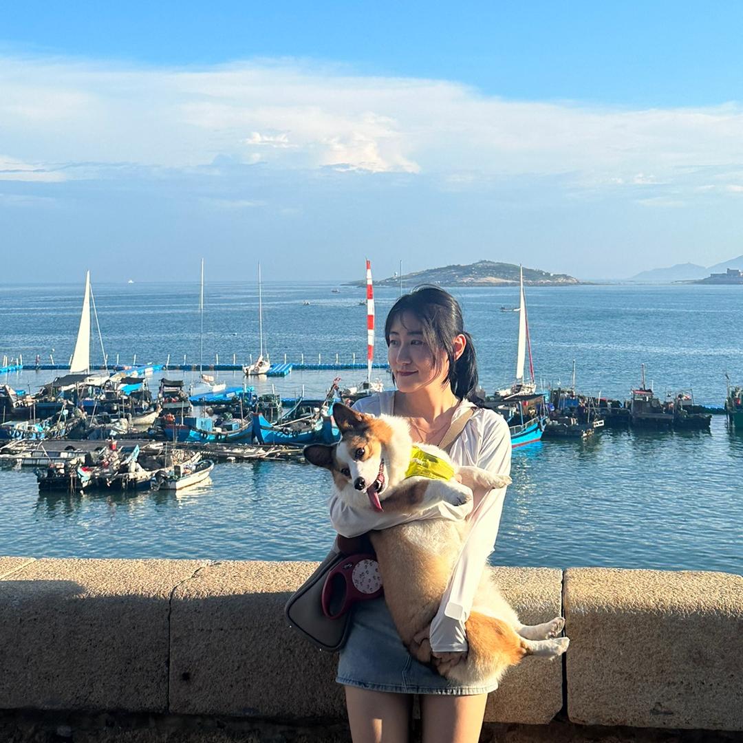 土豆是只柯基🐶