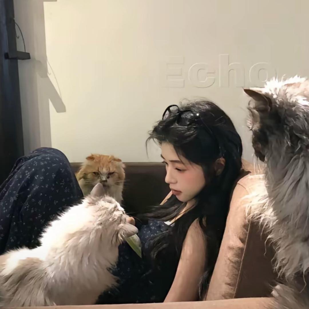 念安🌷