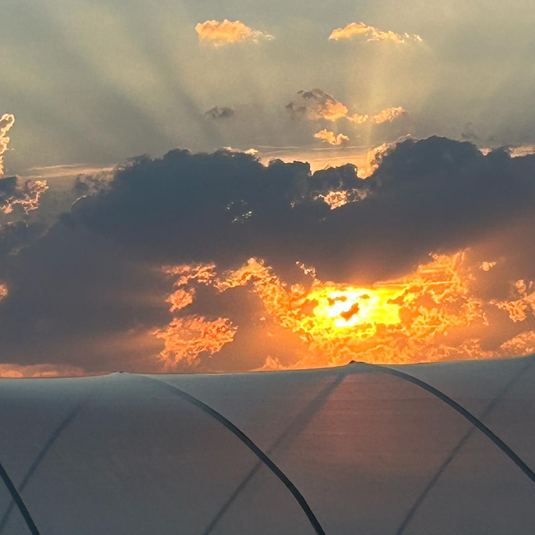 麦一份美俪小店