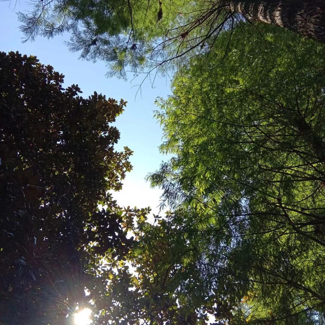 爱沫