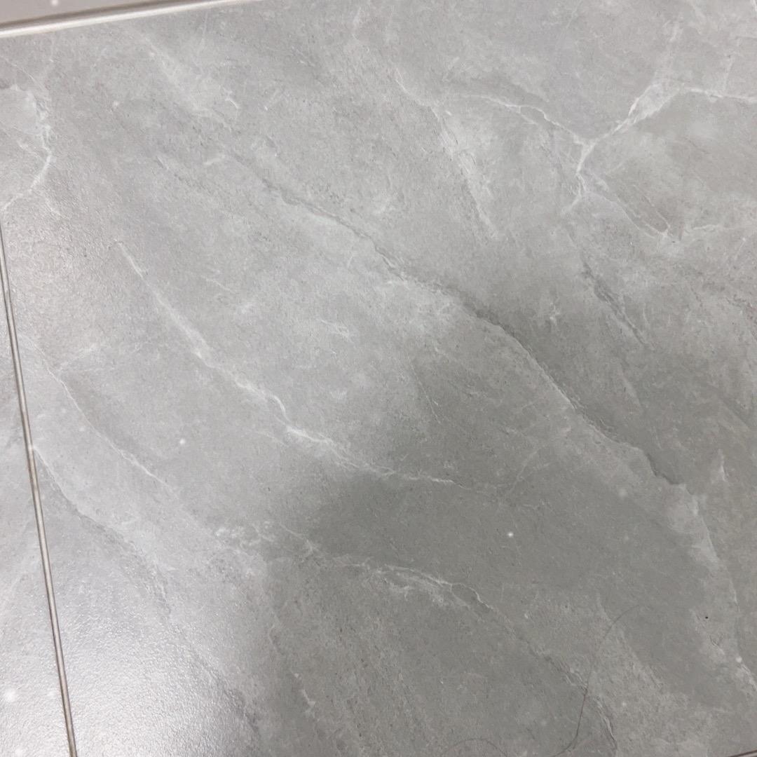 展翅飞翔
