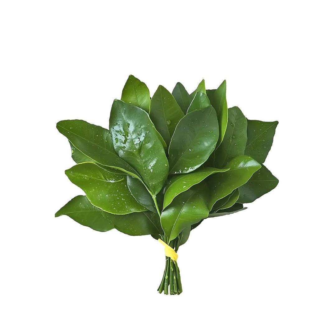 全椒