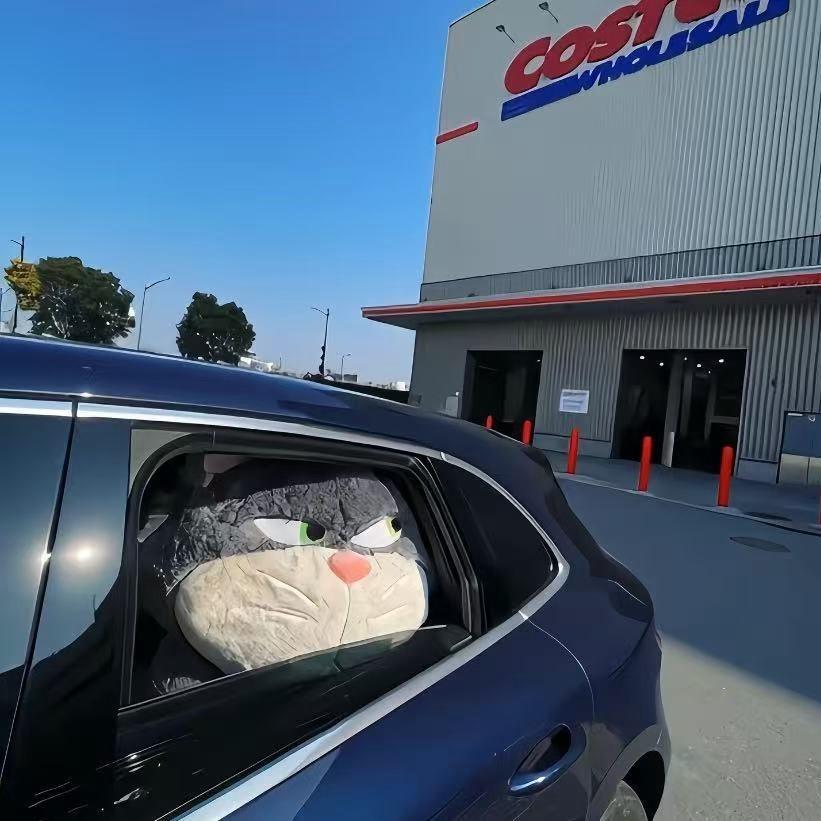 言染（电商王）