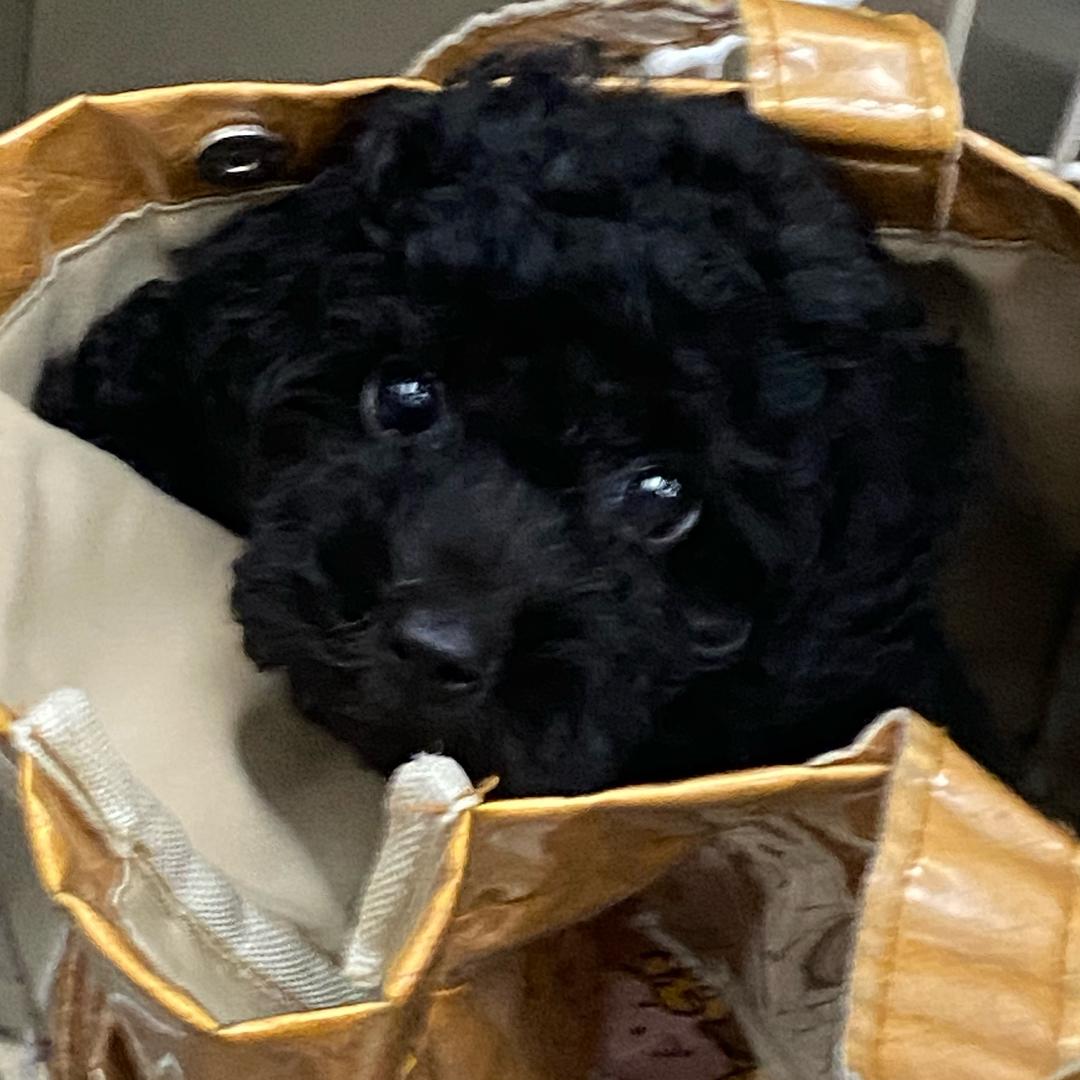 小郑今天瘦了么？