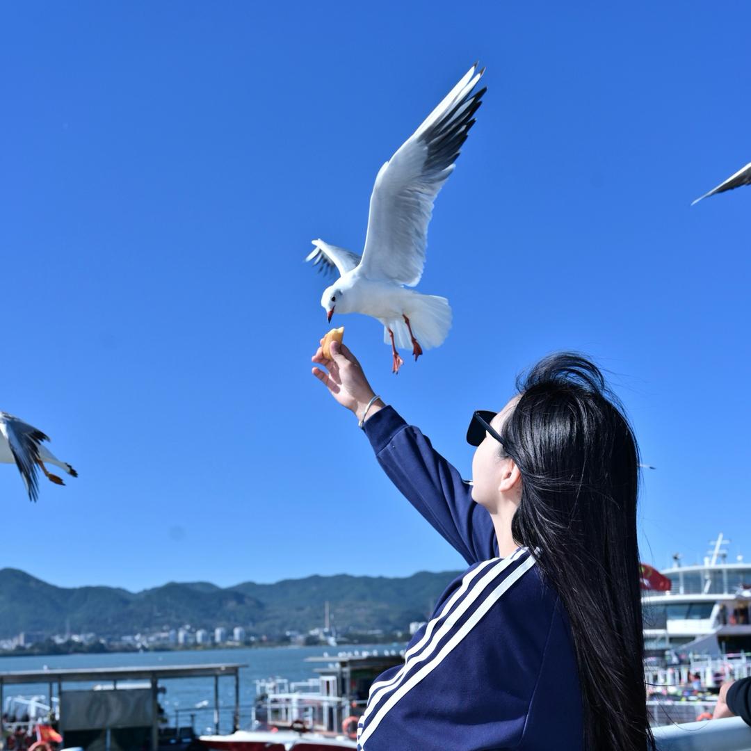 茶艺明眸