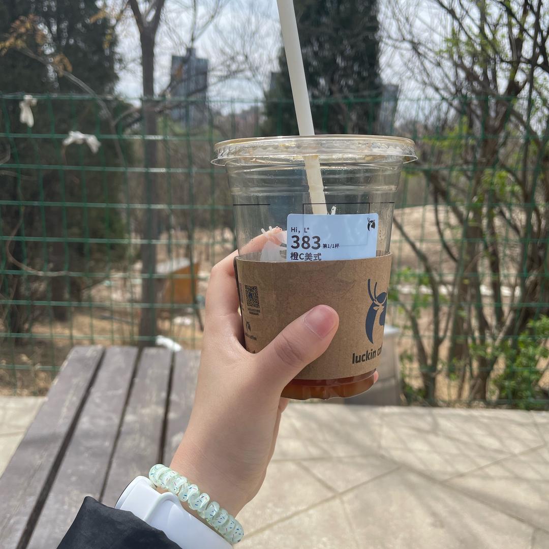 香菜酱¥