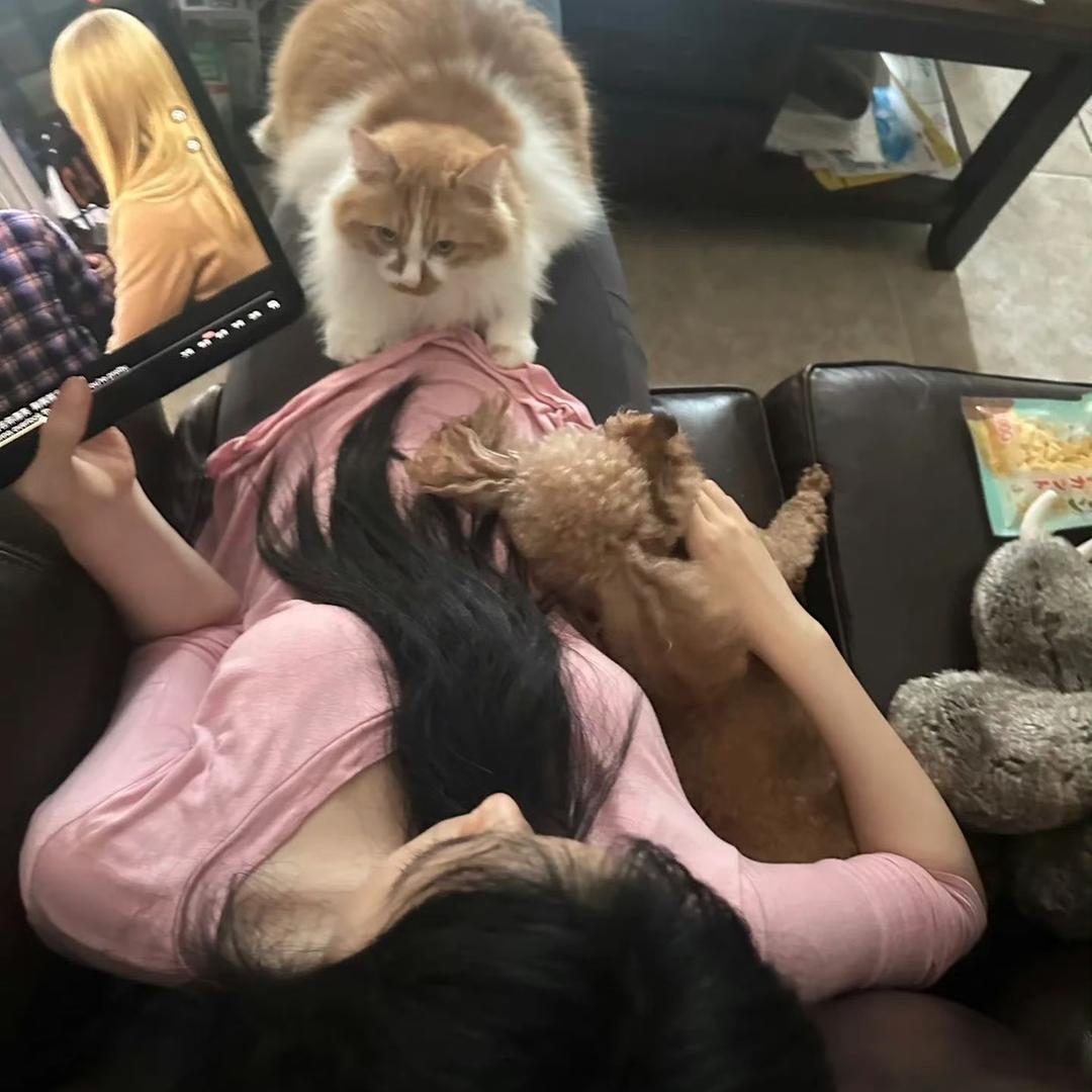 苕皮大师