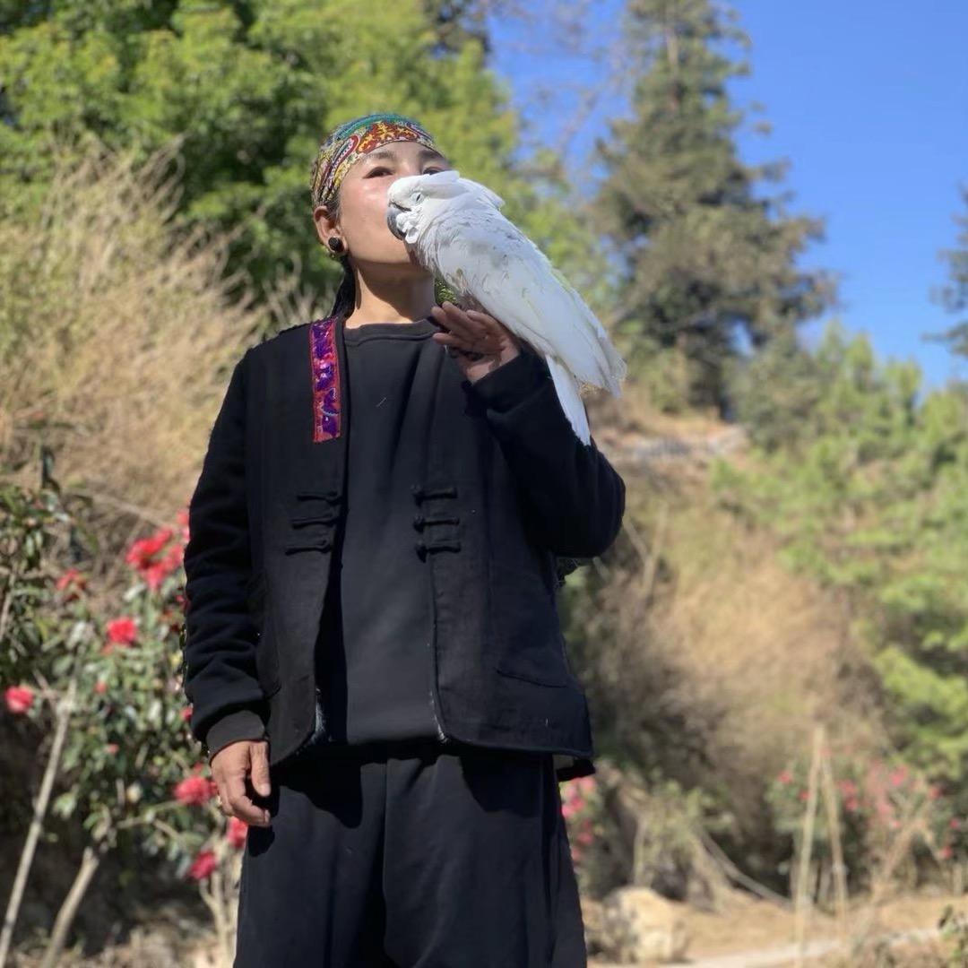 洪姐的小院生活