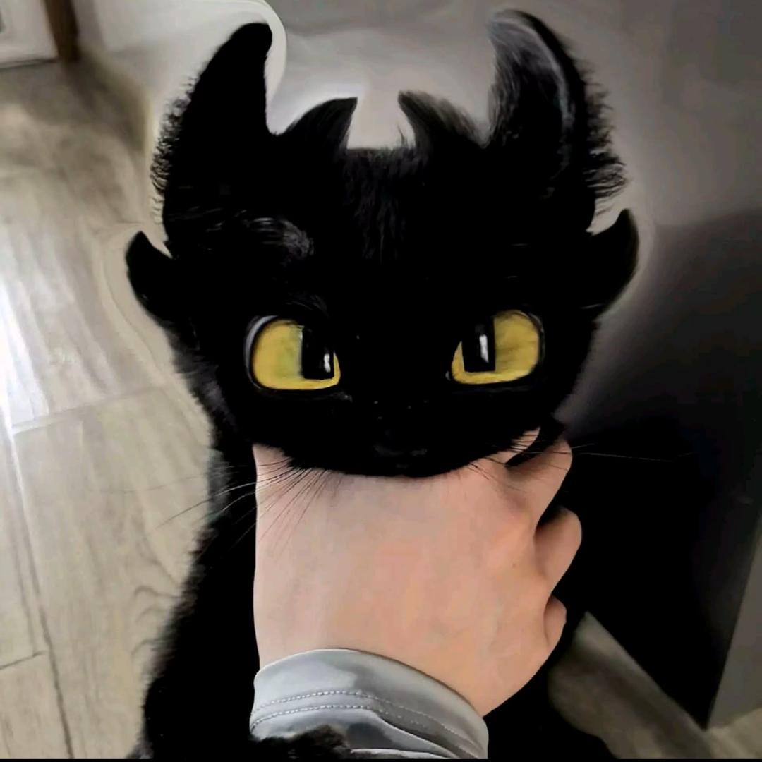 遇见.