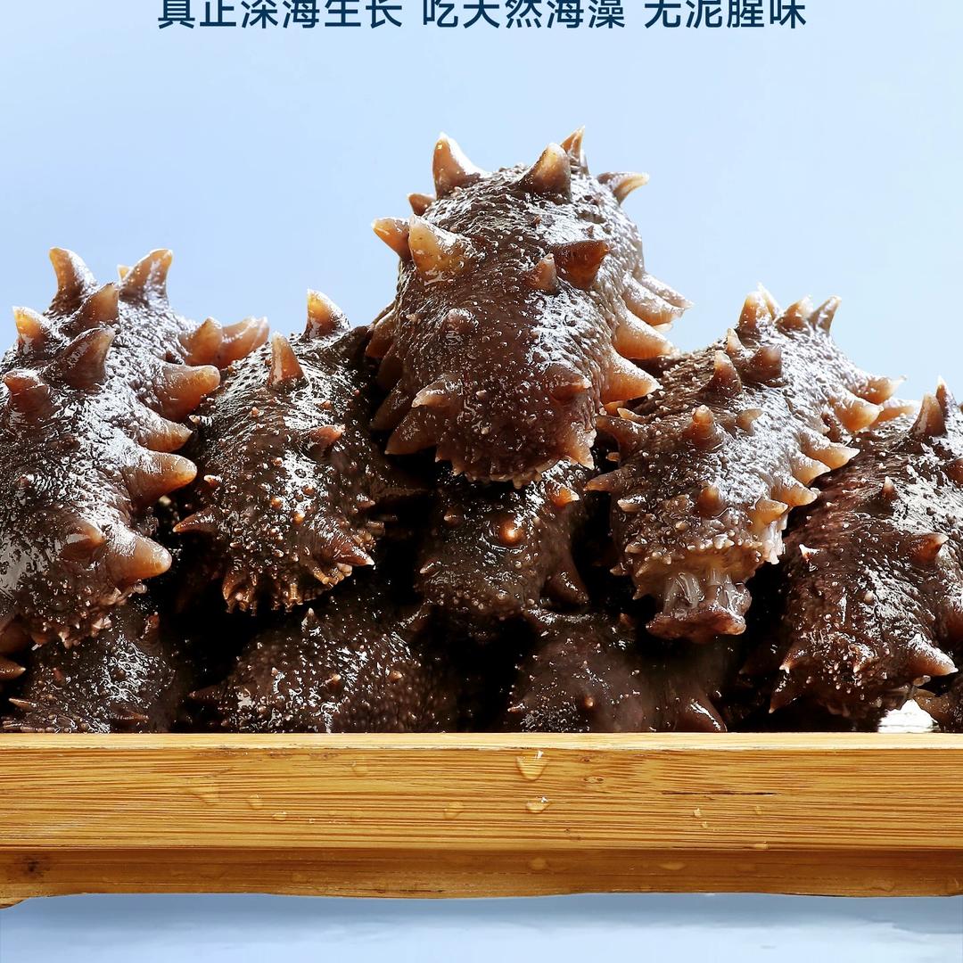 海参帝